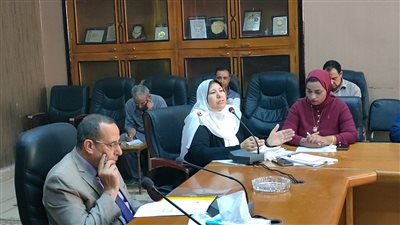 اختيار قرية الروضة بشمال سيناء خالية من العنف ضد النساء