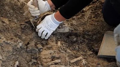 صحف إسرائيلية تزعم العثور على آثار فرعونية تعود لرمسيس الثاني في تل أبيب 