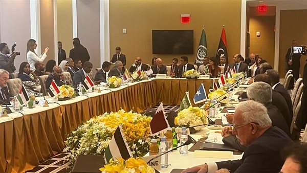 الاجتماع التشاوري