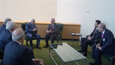 ملك الأردن يؤكد أهمية شمول الفلسطينيين في المشاريع الاقتصادية الإقليمية لدعم صمودهم