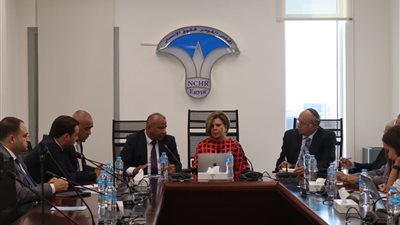 المجلس القومي لحقوق الإنسان: ضرورة مراجعة السياسات الاقتصادية في مجال الصناعة والمشروعات الصغيرة