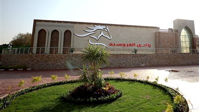 بمشاركة 130 فارسا.. الداخلية تُنظم بطولة الفروسية للموسم الصيفي 2021-2022 |صور