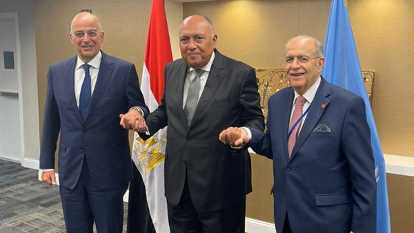 شكري يلتقي وزيري