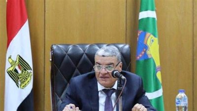 محافظ المنيا يتابع نسب تنفيذ مشروعات مبادرة حياة كريمة بمركز ملوي