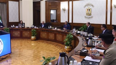 الوزراء: وجود أزمات أمر طبيعي في الدورة الاقتصادية.. والدول تمر بمراحل ازدهار واضطراب 