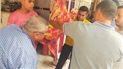 ضبط لحوم ودواجن وأسماك غير صالحة للاستهلاك الآدمي بالغربية 