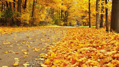 آخر أيام الصيفية.. البحوث الفلكية: ذروة فصل الخريف 22 سبتمبر