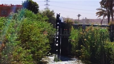 استقرار في درجات الحرارة بالفيوم.. والعُظمى اليوم 34