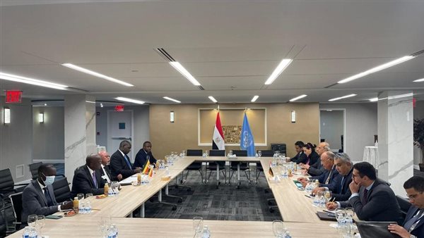 وزير الخارجية يلتقي