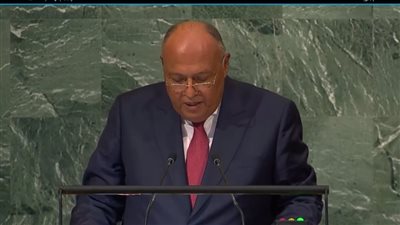 وزير الخارجية بالأمم المتحدة: مصر متمسكة بالموقف الإفريقي لإصلاح مجلس الأمن الدولي