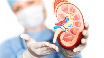  دون مقابل مادي.. داعية إسلامي: التبرع بالأعضاء صدقة جارية