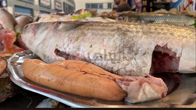 مع بداية الموسم ببورسعيد.. إقبال على شراء البطارخ والفوارغ تصل لـ 10 جنيهات بأسواق بورسعيد | صور وفيديو