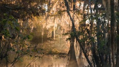 علماء يعثرون على مقبرة جماعية لهياكل عظمية ارتفاعها 12 قدمًا