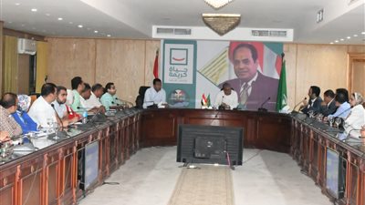 محافظ الفيوم يتابع آليات إطلاق المنصة الإلكترونية للمشروعات القومية ومبادرة حياة كريمة