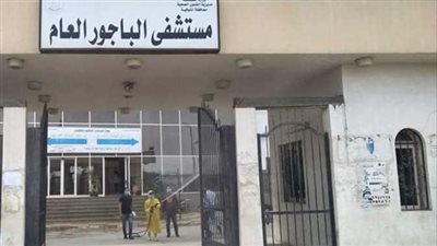 إصابة ربة منزل بلدغة ثعبان في المنوفية