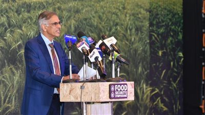 برنامج الأغذية العالمي: نتعاون مع الحكومة المصرية لتوفير أهداف التنمية المستدامة