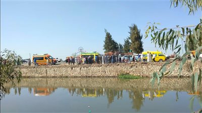 رحلوا سويًا.. مصرع 4 طلاب بكلية الطب في حادث مروع بالشرقية | صور