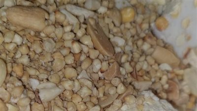 ضبط 5 أطنان حلوى مولد منتهية الصلاحية ويعاد تدويرها داخل مصنع بالغربية 