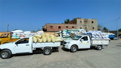 توريد 24 ألف طن أرز شعير لمواقع التجميع بالشرقية