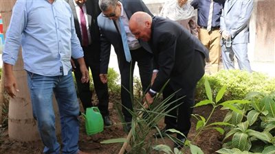 تنفيذًا لمبادرة 100 مليون شجرة.. نقيب المعلمين يغرس الأشجار المثمرة بمدارس أسوان