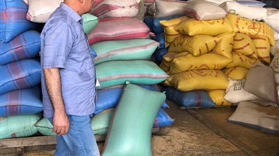 توريد 5406 طن أرز شعير في الدقهلية