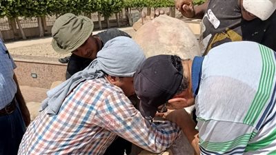 منها تماثيل أبو الهول.. الآثار تعلن ترميم قطع بمتحف المسلة بالمطرية | صور 