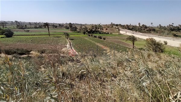 الفيوم.. تصوير: إيمان