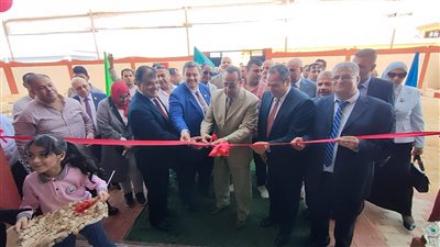 بتكلفة 8 ملايين جنيه.. محافظ شمال سيناء يفتتح مدرسة أبو صقل للتعليم الأساسي بالعريش | صور