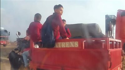 بعد صورة التروسيكل.. برلماني يعلن توفير 10 أتوبيسات لنقل الطلاب لمدارس بورفؤاد وبورسعيد | صور 