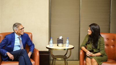 586 مليون دولار محفظة التعاون بين مصر وبرنامج الأغذية العالمي