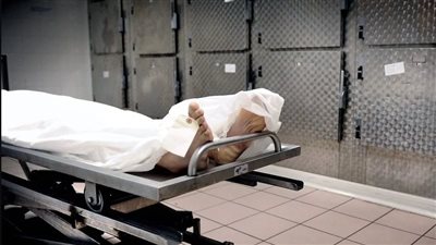 مصرع كهربائي صعقًا بالكهرباء أثناء عمله بكفر الشيخ 