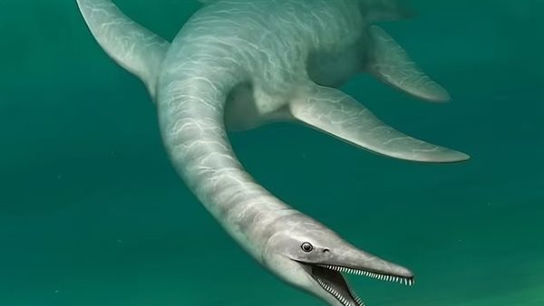 حيوان غريب عاش قبل