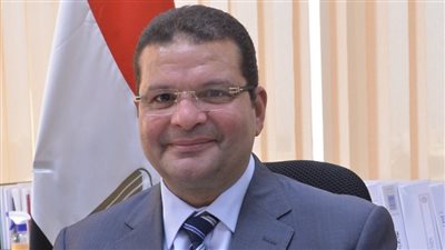 نائب وزير المالية يدعو شركات التأمين للاستثمار في السندات الخضراء