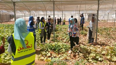 دعم مادي للمتعثرين.. التضامن: أكثر من 91 ألف طالب مستفيد من برامج التمكين الاقتصادي بالجامعات