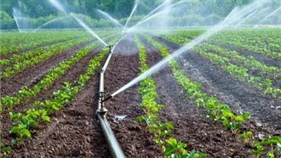 أكساد: مبادرة زراعة 100 مليون شجرة كلمة السر في تعاون المنظمات الدولية مع مصر