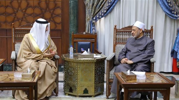 شيخ الأزهر وسفير