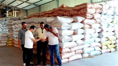  تعرف على تفاصيل إحباط تهريب حوالي 280 طن أرز قبل بيعها في السوق السوداء