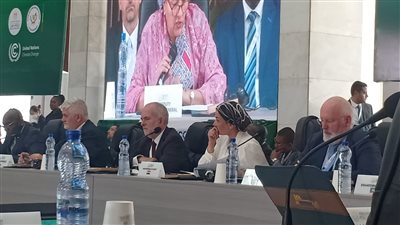  وزيرة البيئة تلتقي نظيرتها السنغافورية ويناقشان الأيام الموضوعية للشق غير الرسمي لمؤتمر المناخ | صور 