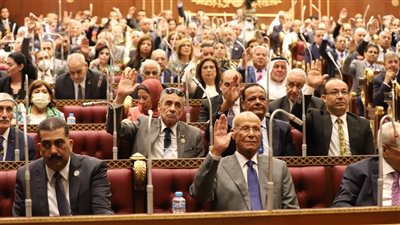 الشيوخ يوافق على المادة الأولى من مشروع قانون إنشاء المجلس الأعلى لصناعة السيارات