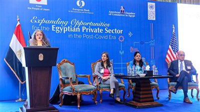 برنامج الأمم المتحدة الإنمائي يطلق تقرير توسيع الفرص أمام القطاع الخاص المصري