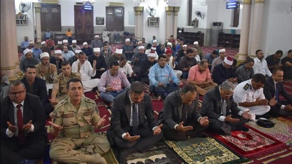 محافظ المنيا 