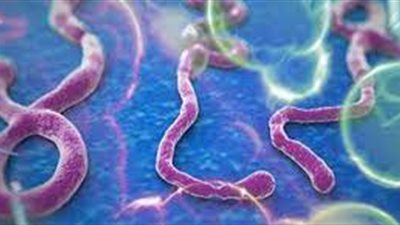 الكونغو تشهد ارتفاعًا قياسيًا في عدد وفيات الإيبولا