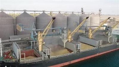 توريد 50 ألف طن قمح بصوامع القليوبية