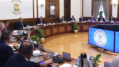 مركز المعلومات يستعرض أداء الجمهورية الجديدة بالقطاعات التنموية في ظل الأزمات العالمية