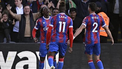 كريستال بالاس يضرب وولفرهامبتون بثنائية.. وبرايتون يتعادل مع نوتنجهام بالبريميرليج