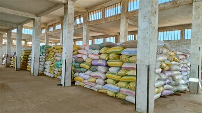 ضبط 151 طن أرز شعير قبل تهريبها للسوق السوداء بكفر الشيخ