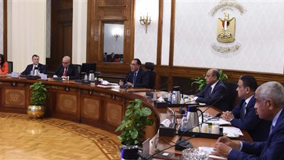 رئيس الوزراء: الدولة على أتم الاستعداد لتوفير سبل المساعدة لقطاع السياحة