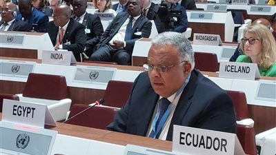 مندوب مصر الدائم لدى الأمم المتحدة يلقي بيان المجموعة العربية لشئون اللاجئين