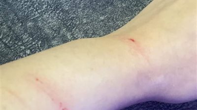 فتاة تستغيث من بطش والدها: مسك علينا سكين وطردنا من بيتنا.. وبنشوفه بيجيب ستات البيت