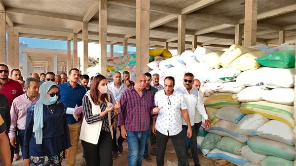 نائب محافظ البحيرة